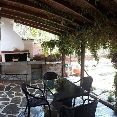 Penzion Theodoras House Nea Iraklitsa Exteriér fotografie
