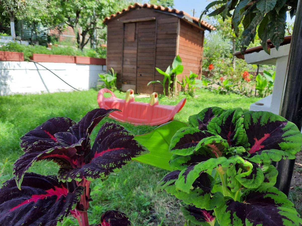 Penzion Theodoras House Nea Iraklitsa Exteriér fotografie