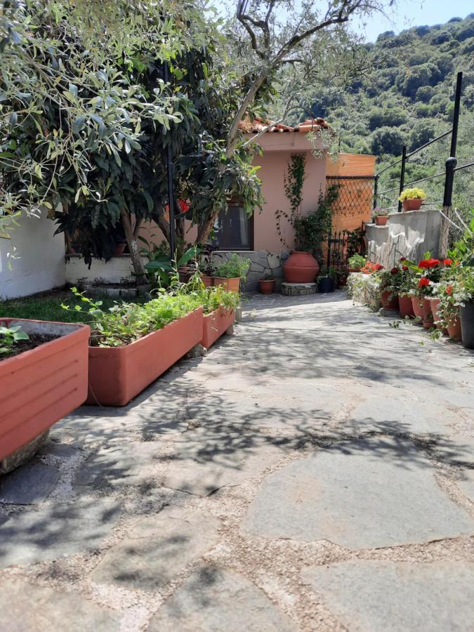 Penzion Theodoras House Nea Iraklitsa Exteriér fotografie