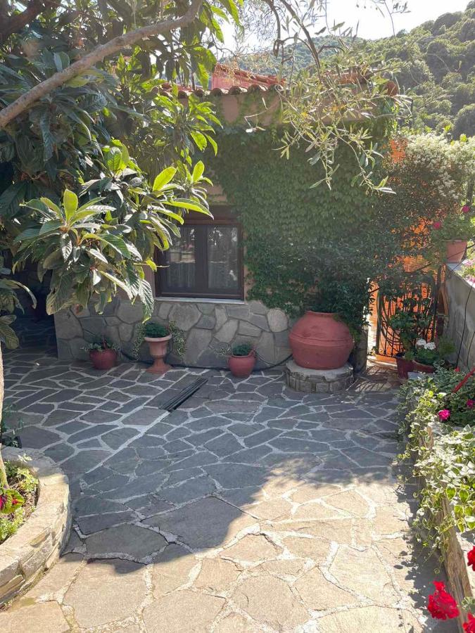 Penzion Theodoras House Nea Iraklitsa Exteriér fotografie